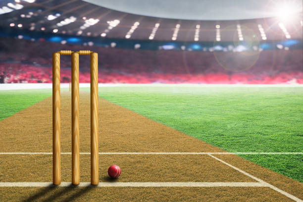 Cricbet99 Is Catching the Attention of Gamers Looking for Something Different cricbet99